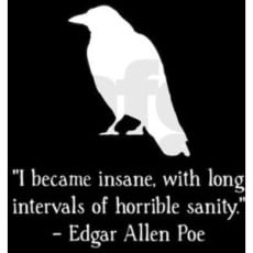 Quote from Edgar Allan Poe (http://www.polyvore.com/cgi/img-thing?.out=jpg&siz ())